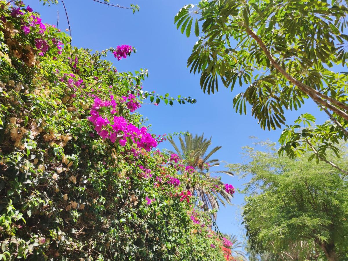 Villa Zinnia Playa Blanca  Exterior foto